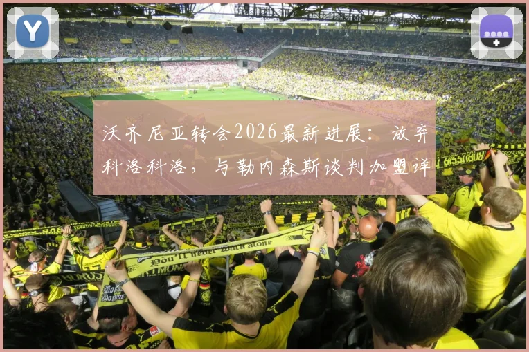 沃齐尼亚转会2026最新进展：放弃科洛科洛，与勒内森斯谈判加盟详情解读